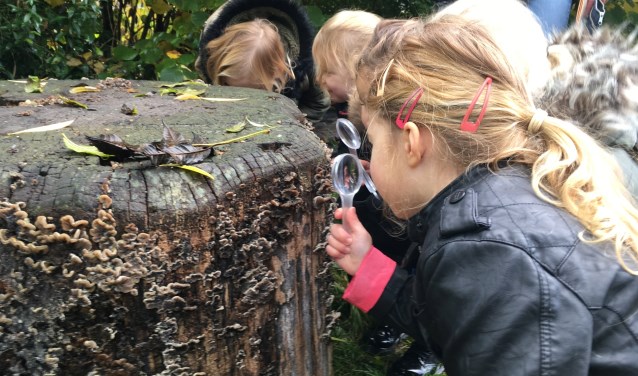 MAK Blokweer is op zoek naar iemand die het leuk vindt om samen met kinderen in de dieren- en plantenwereld actief op ontdekking te gaan.