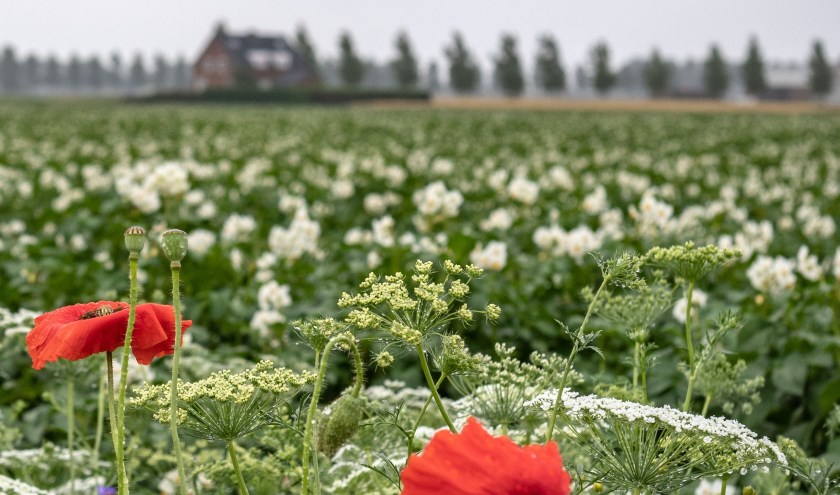 Duurzaam doorpakken.