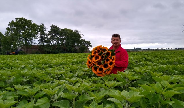 De Waardse zonnebloemkweker Erik Overtoom overwon leukemie dankzij het steunfonds VU Hematologie.