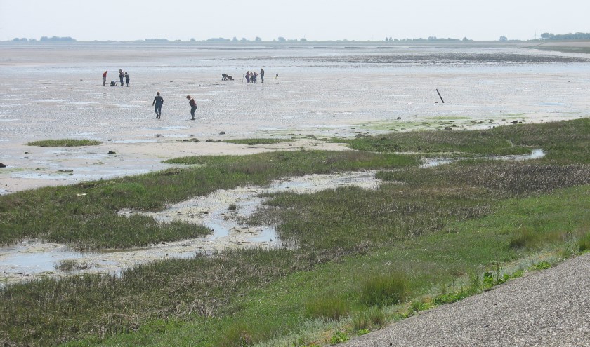 Beleef het najaar op Balgzand.