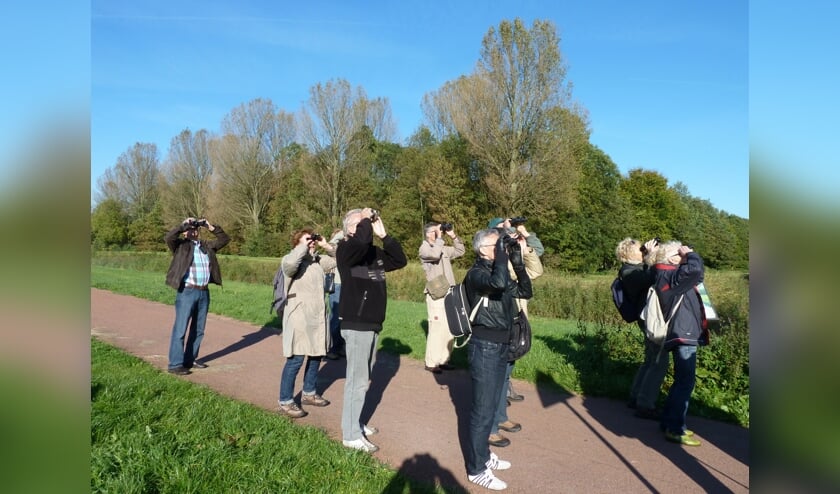 Groenkijkers.