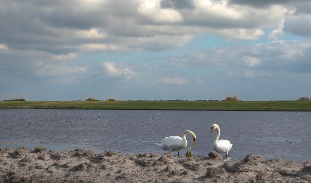 Uitzicht over de plas.