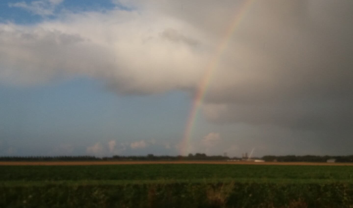 De regenboog boven de polder. 