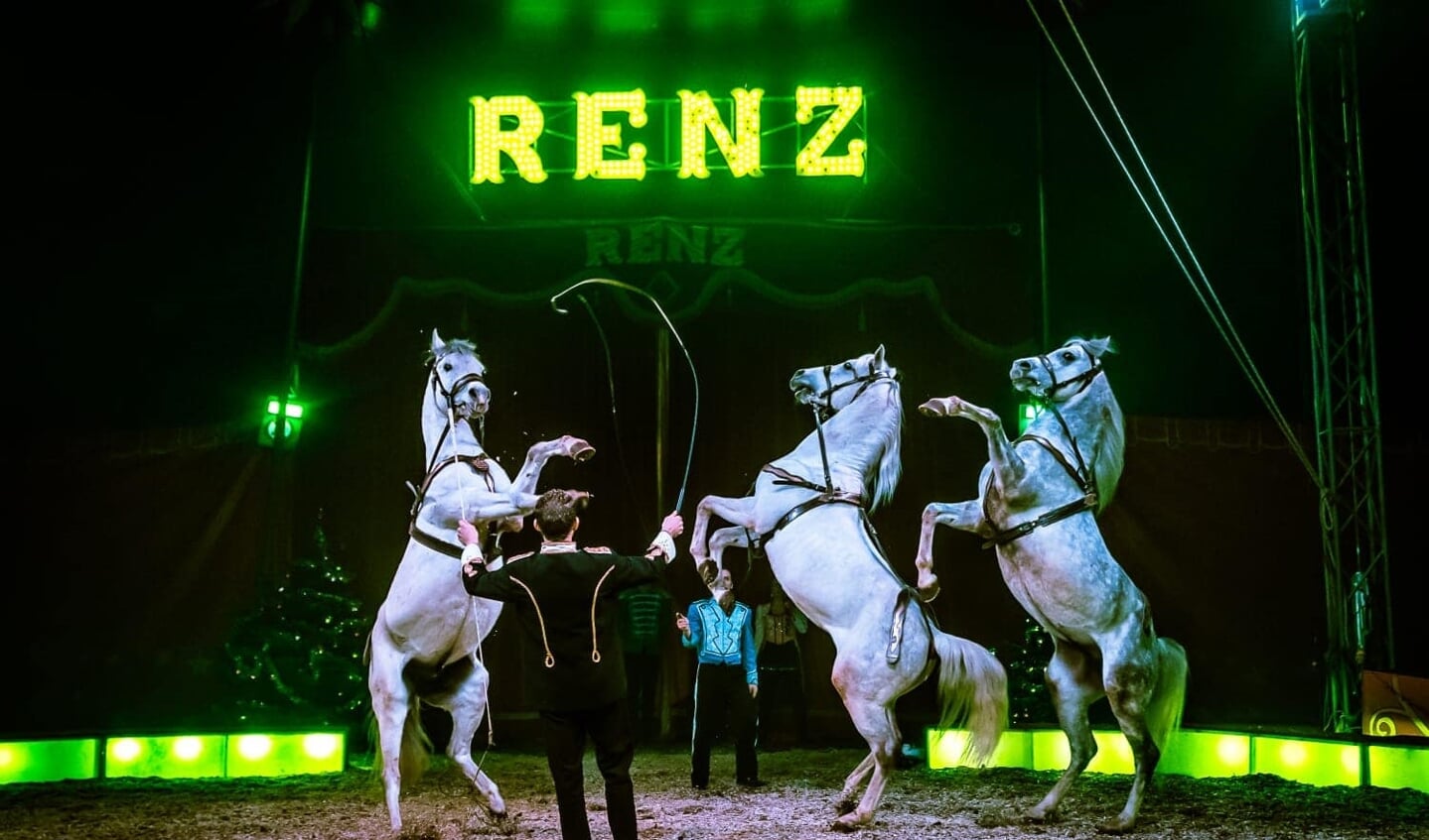 Paardenact in Circus Renz