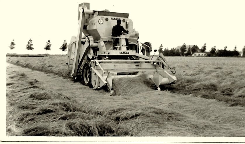 1962, op de akker bij Waltherus Koeckhoven en de toenmalige Sloterweg. Christiaan Saarloos is aan het graszaad combinen.