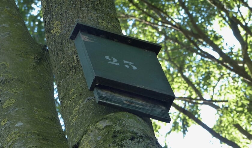Vleermuiskast.