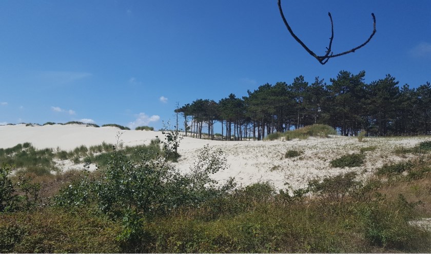 Bij goed weer staat een mooie tocht door de duinen op het programma.