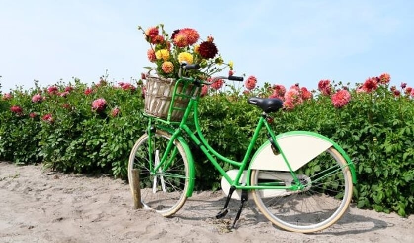 Bootjestocht met Fiets en Geniet