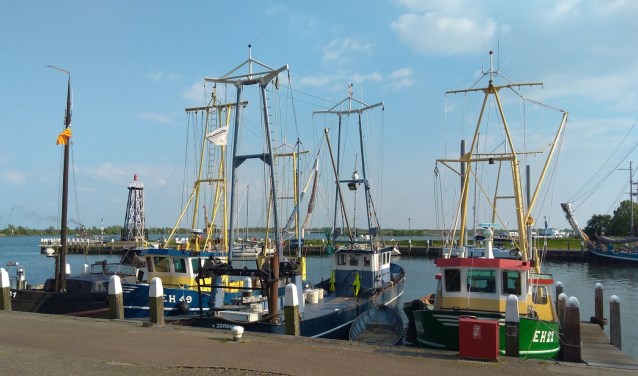 Laatste stadswandeling Vereniging Oud Enkhuizen.