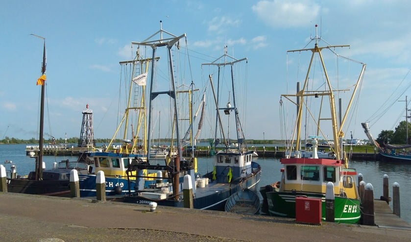 Laatste stadswandeling Vereniging Oud Enkhuizen.