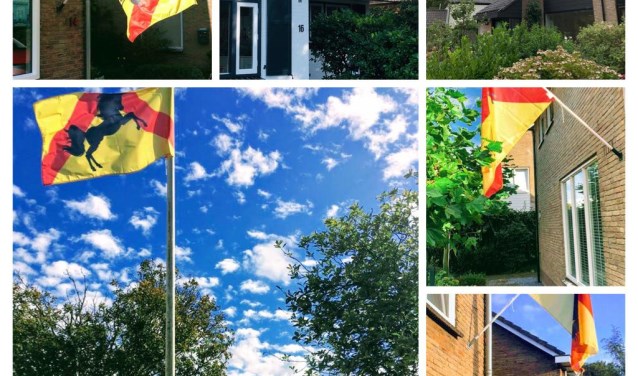 De vlag van Bakkum.