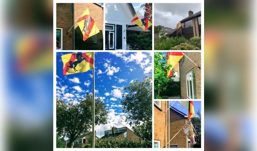 De vlag van Bakkum.