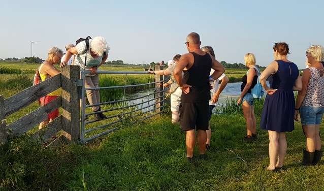 Wandelen door de landerijen in en om Aartswoud.