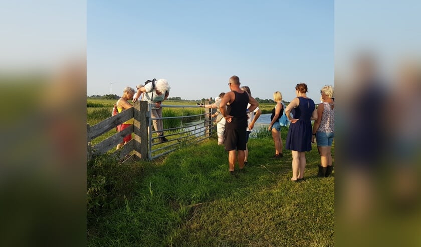 Wandelen door de landerijen in en om Aartswoud.