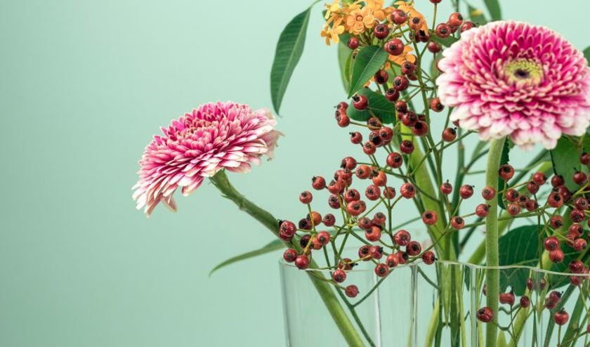 Mooie bloemen fleuren altijd de boel op.