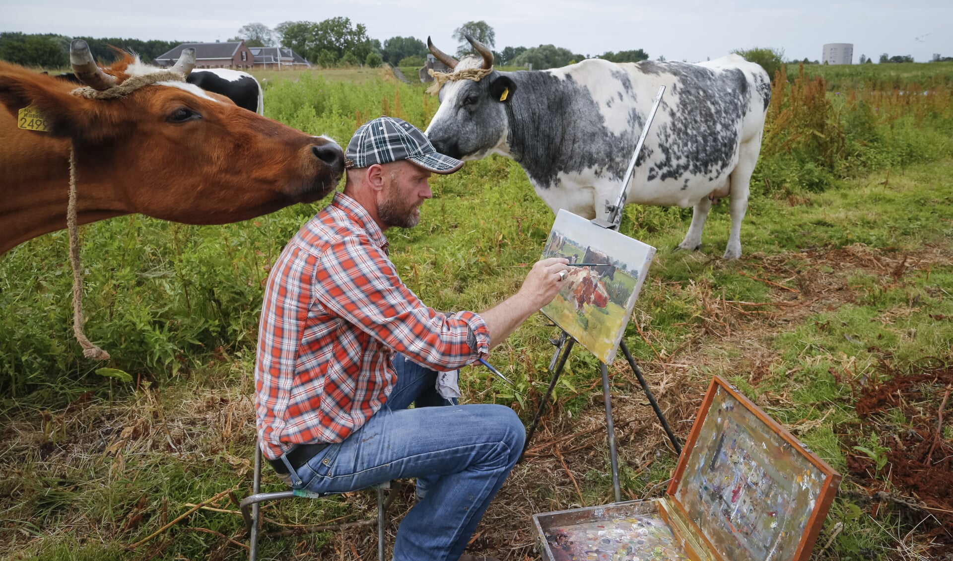 Schilder Ruud Spil staat bekend om zijn koeienportretten. 