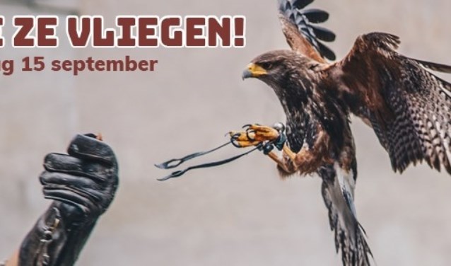 Zie ze vliegen! in Cruquius.