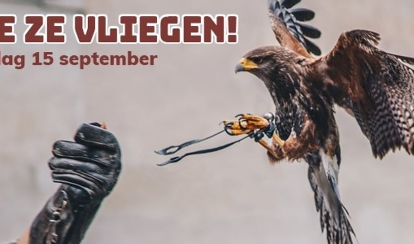 Zie ze vliegen! in Cruquius.