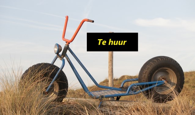 Alternatief vervuur, zuinig en snel voor in het centrum.