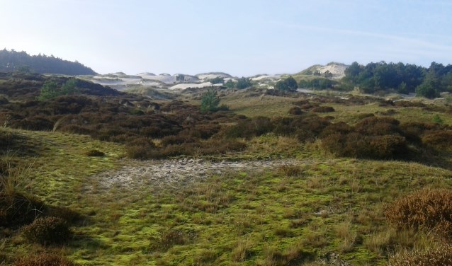 Waar komt het zand vandaan, waarom zijn deze duinen zo hoog en breed?