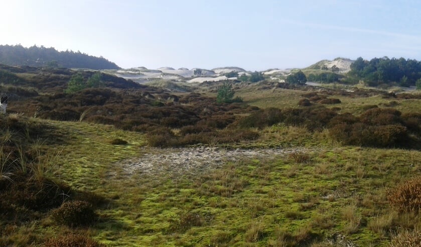 Waar komt het zand vandaan, waarom zijn deze duinen zo hoog en breed?
