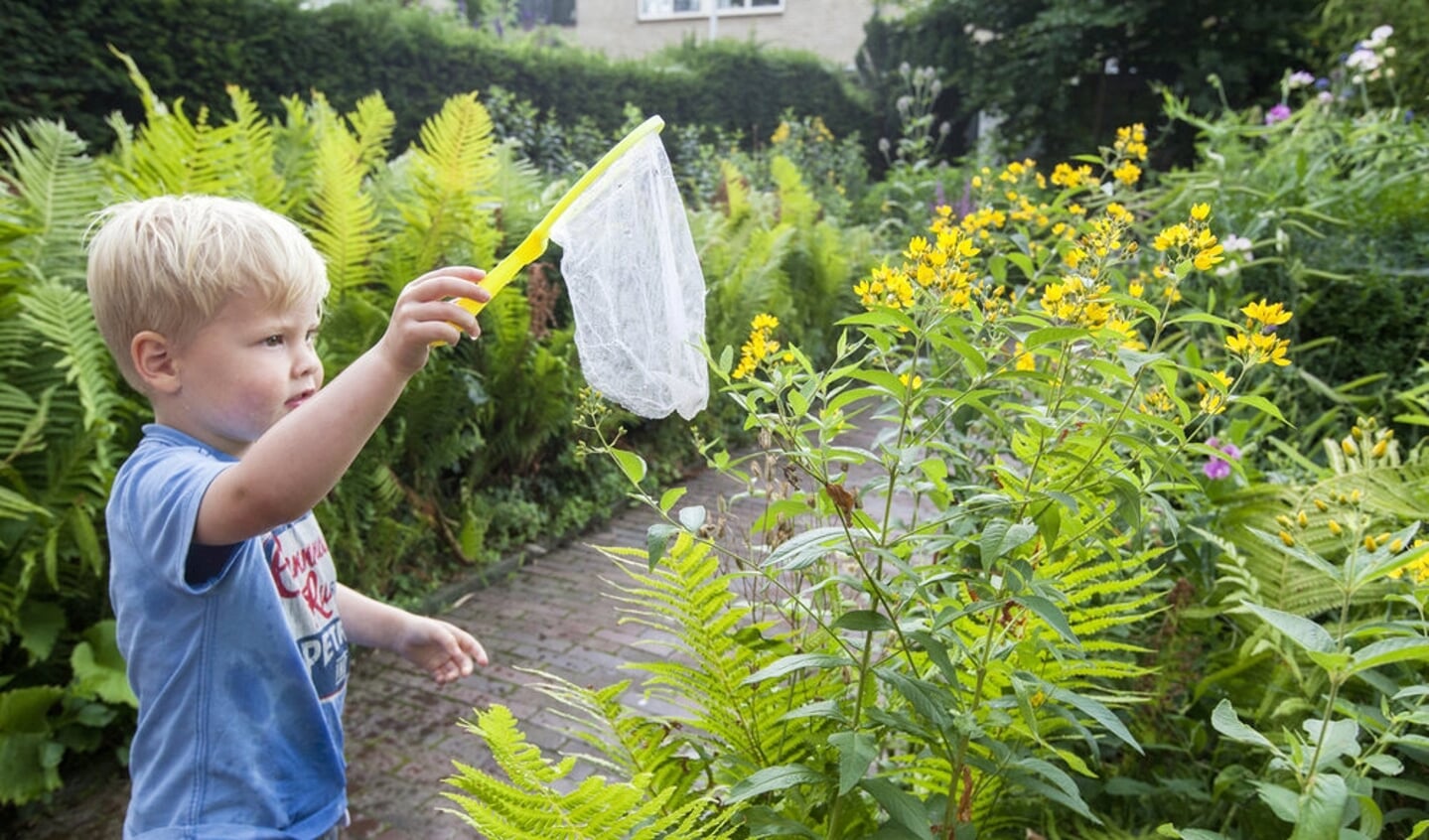 Alkmaar gaat voor groen.