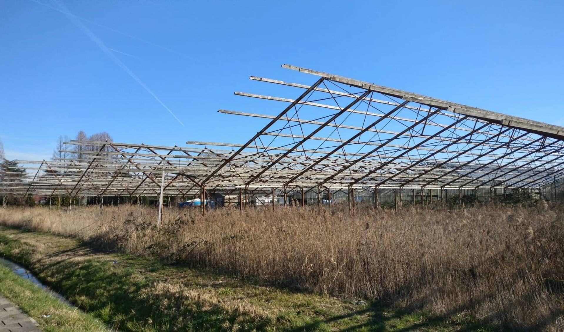 Skeletten van oude kassen in Rijsenhout. 