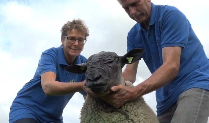 Coby en Jan Schilder met hun opvallende kampioenschaap Kordaat.