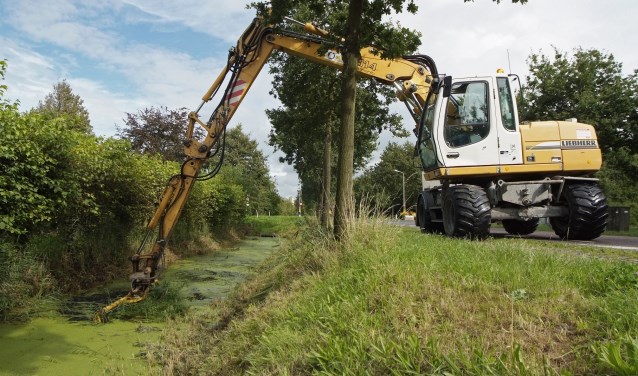 Het hoogheemraadschap voert elk najaar een schouw uit.
