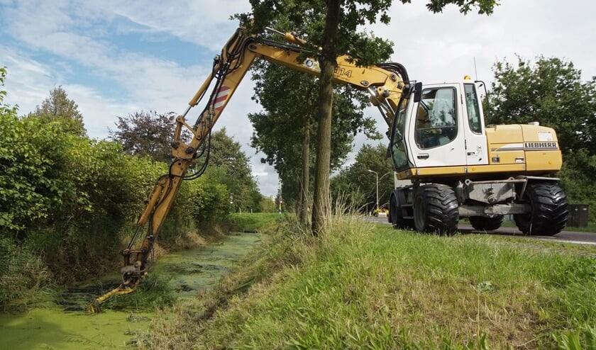 Het hoogheemraadschap voert elk najaar een schouw uit.