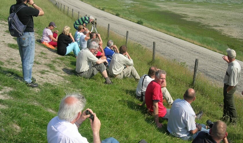 Excursie Balgzand.