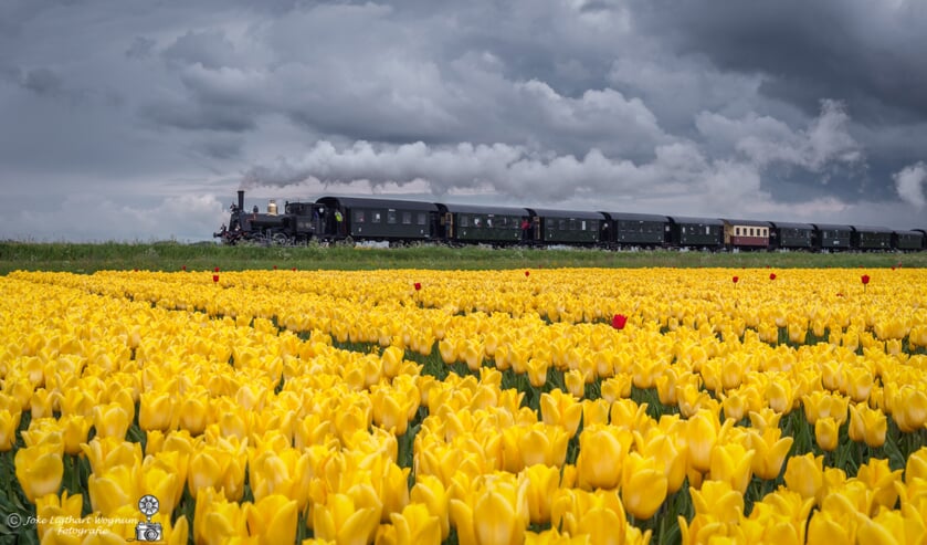 De tulpentrein