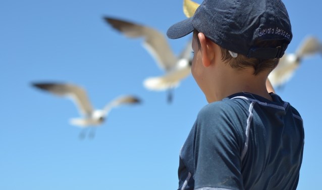 Pax Kinderhulp zoekt vakantieouders die kinderen een fijne vakantie willen geven.