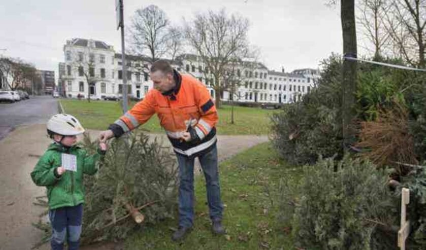 Elke ingeleverde boom levert de brenger € 0,50 op!