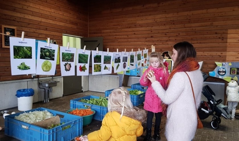 Welke soorten groente en fruit eten de dieren?