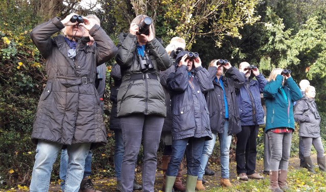 Vogelcursus in Hertenkamp Enkhuizen met theorie en excursies.