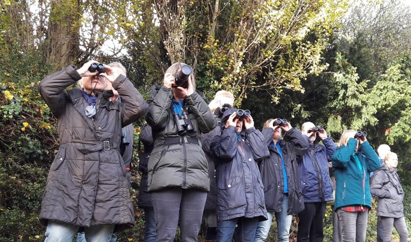 Vogelcursus in Hertenkamp Enkhuizen met theorie en excursies.