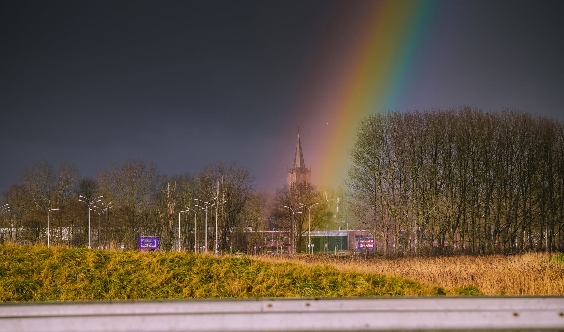 De regenboog zet de Wijkertoren 'in de spotlights'.