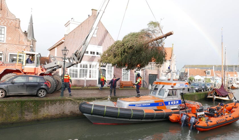 Van Geemen hijst de boom uit zijn frame.