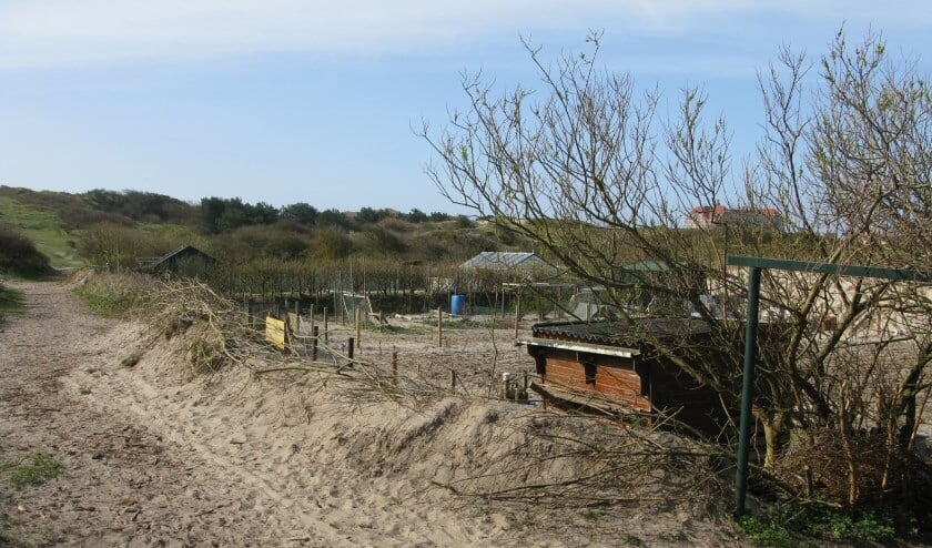 Wandelen in binnenduinrand bij Egmond aan den hoef.