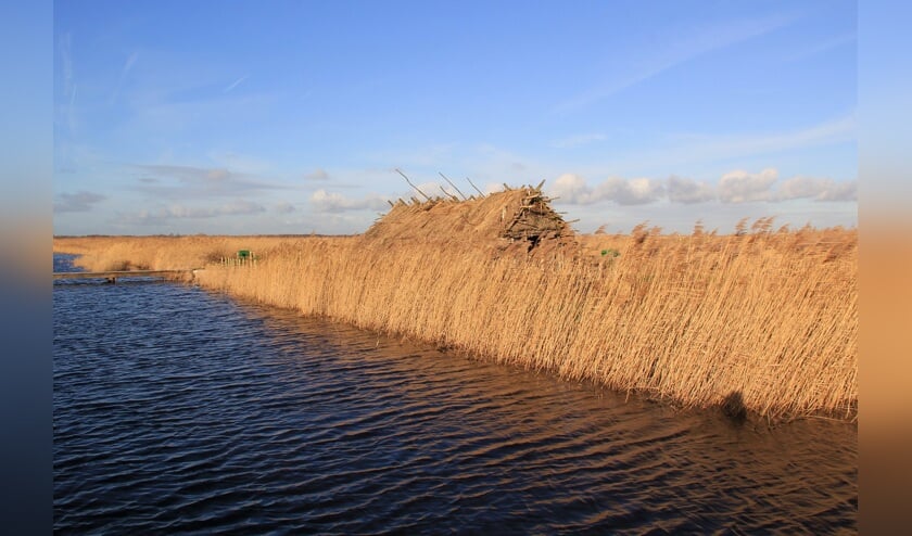 Het Ilperveld is een fraaie veenpolder.