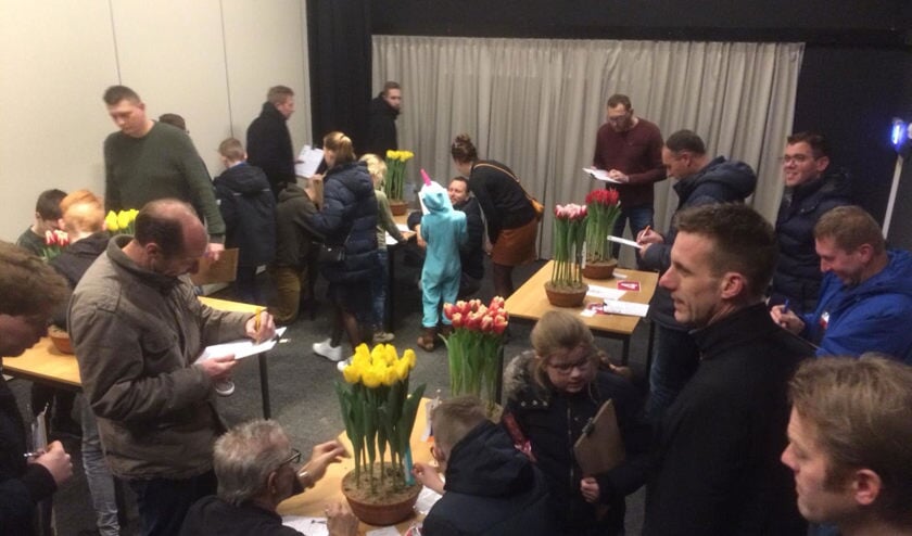 In de Schoof stonden de potten met tulpen die beoordeeld mochten worden.