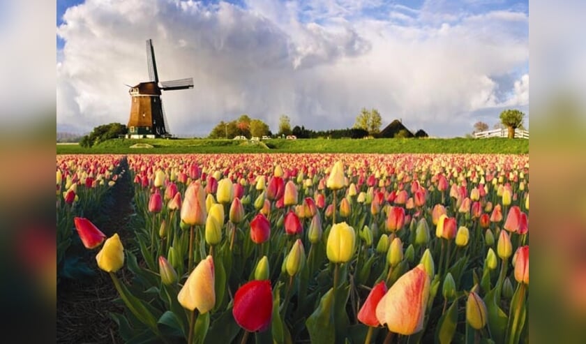 Typisch Hollands.