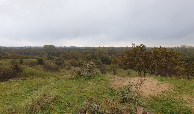 Uitzicht vanaf uitkijkpunt Papenberg.
