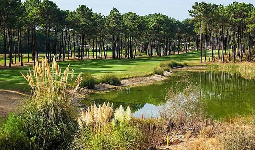 Aroeira heeft twee prachtige golfcourses met ieder achttien holes. Met Jeroen Mars speel je beide banen twee keer.