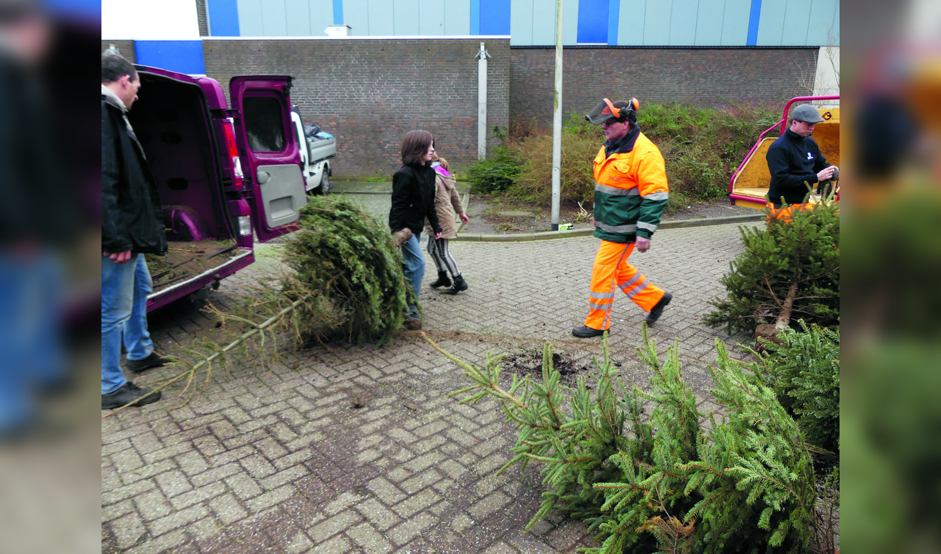 De kerstbomen kunnen na de feestdagen in Uitgeest op verschillende plekken worden ingeleverd.