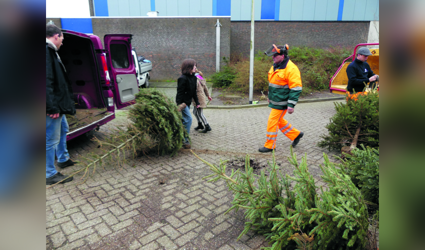 De kerstbomen kunnen na de feestdagen in Uitgeest op verschillende plekken worden ingeleverd.