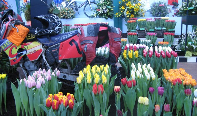 Hard werken om Drieban Flora in orde te maken.