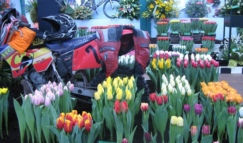 Hard werken om Drieban Flora in orde te maken.