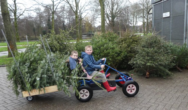 Twee jeugdige Purmerenders hadden het goed bekeken. Zij brachten de bomen met een aanhanger achter hun skelter.